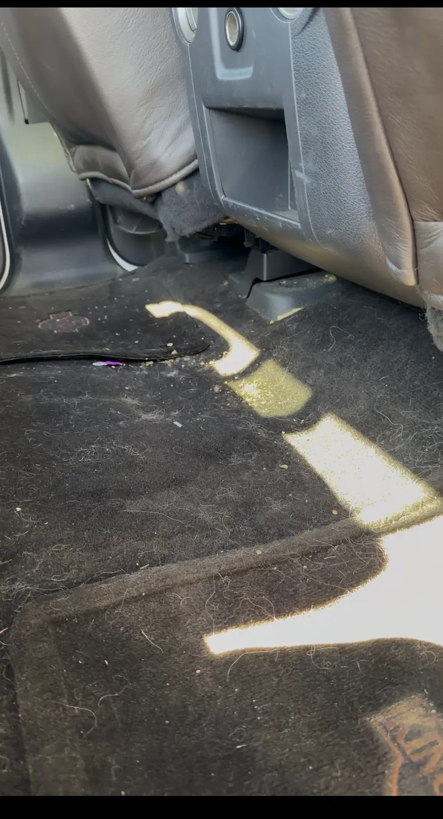 Truck rear floor carpet covered in pet hair and debris before detailing